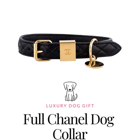 chanel dog name|chanel collars for dogs.